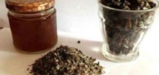 Wie wird die Vorbereitung Salbe mit Bienen pidmoru