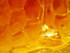 Монофлерний мед: корисні властивості та види