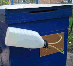 Feeders for bees with their hands - There is nothing easier