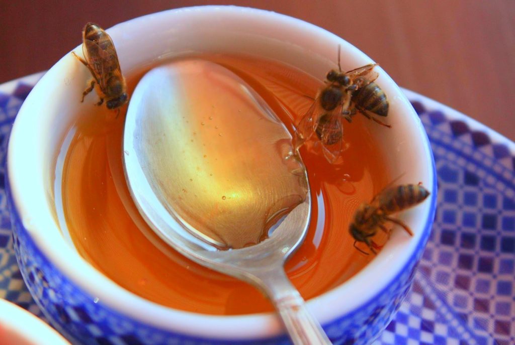 Jarabe para las abejas de invierno - azúcar en la alimentación