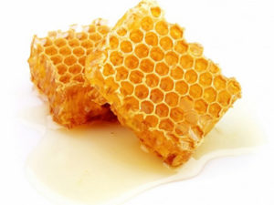 Як зберігати мед у стільниках