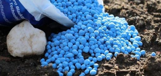 What is it - microfertilizer in agriculture?
