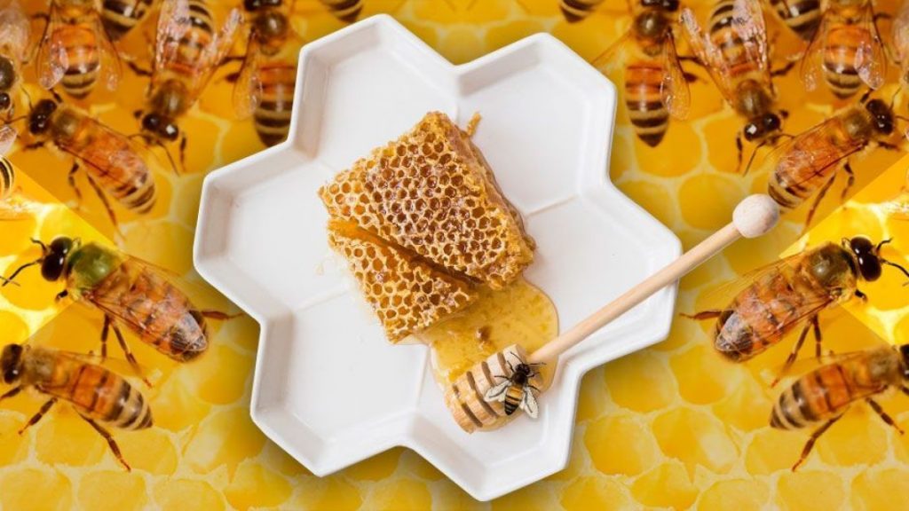 Süße Medizin: heilende eigenschaften von honig