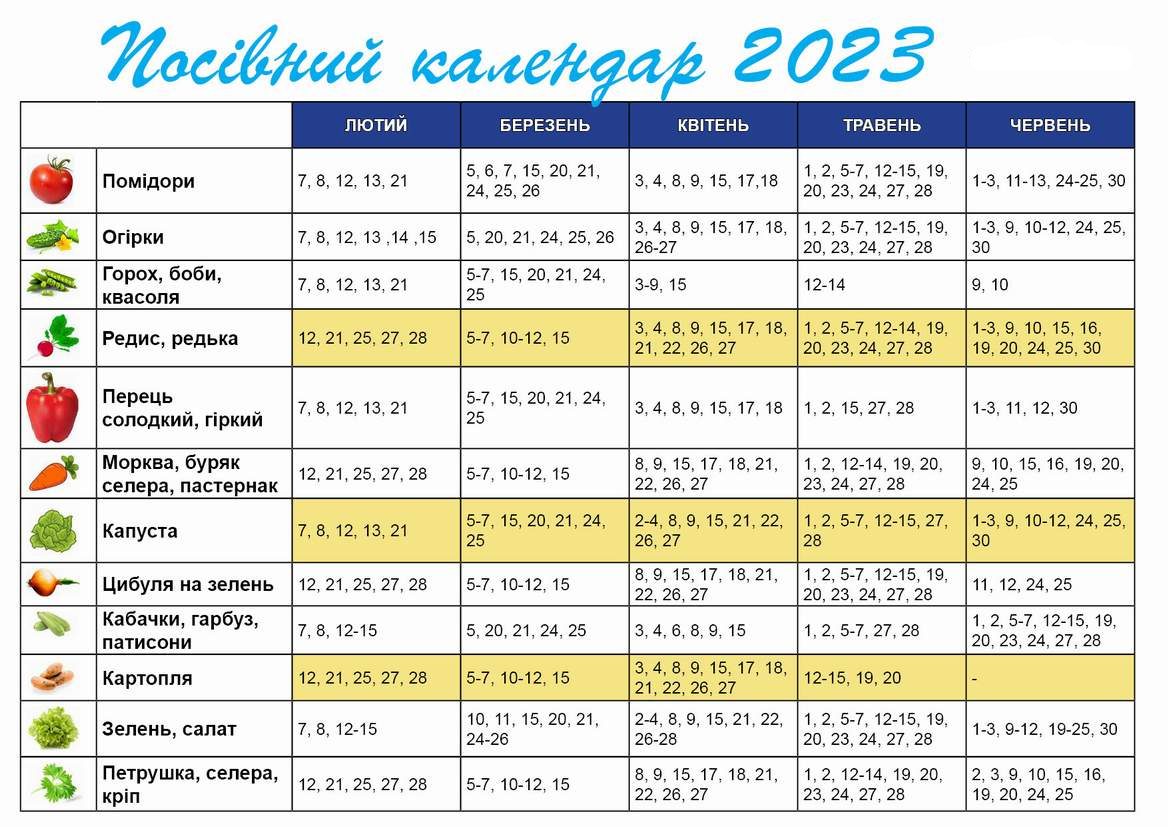 сеитбен календар 2023