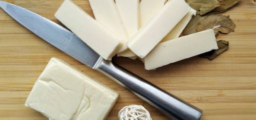 Types et caractéristiques des fromages fondus